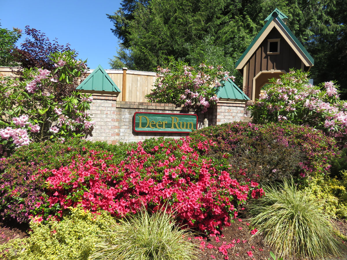 Flowers and plants are closest to the viewer. There is the Deer Run entrance sign behind the plants.